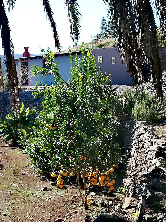 Casa La Montana Villa El Cedro Dış mekan fotoğraf